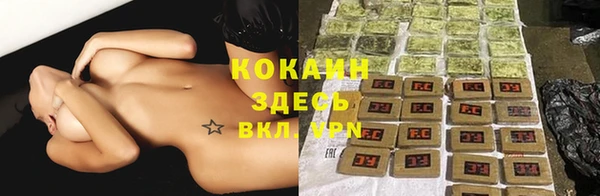 крисы Балахна