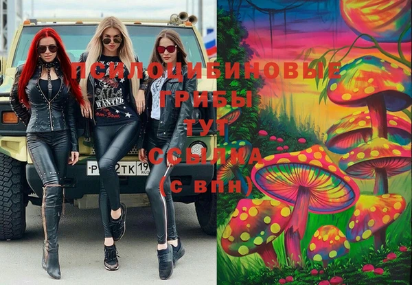 apvp Балабаново